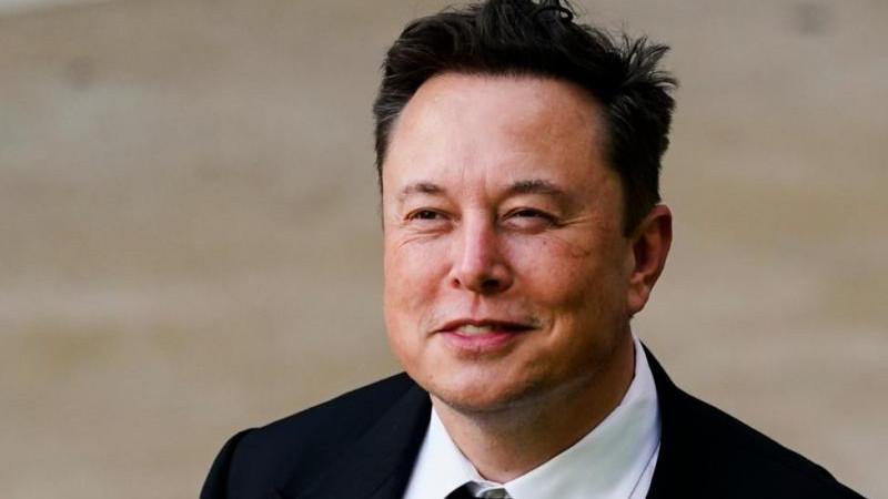 Маск полагает, что белое население планеты под угрозой исчезновения