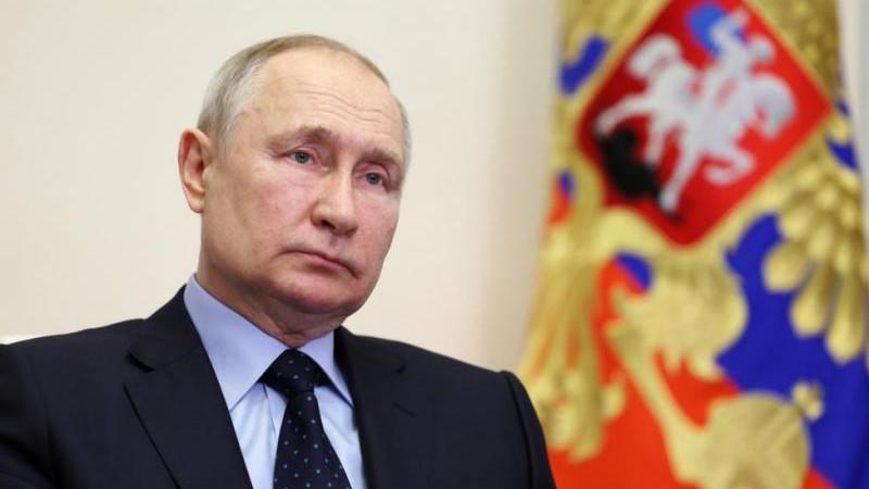 Президент отметил наличие в России крупнейших в мире лесных запасов