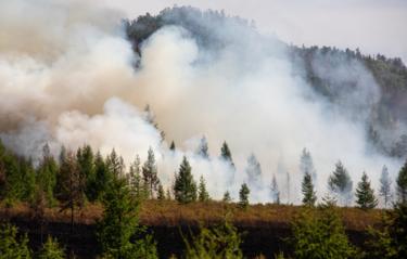 Лесные пожары в Забайкалье действуют на площади 61 тыс. га