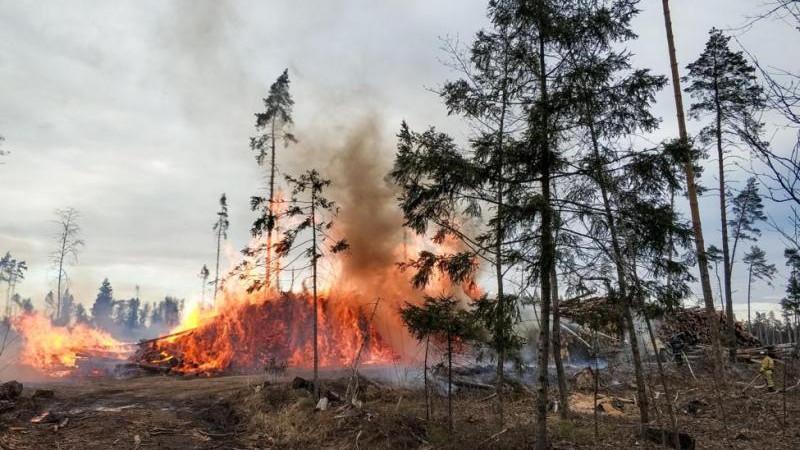 Площадь лесных пожаров в Бурятии увеличилась до 80 тыс. га