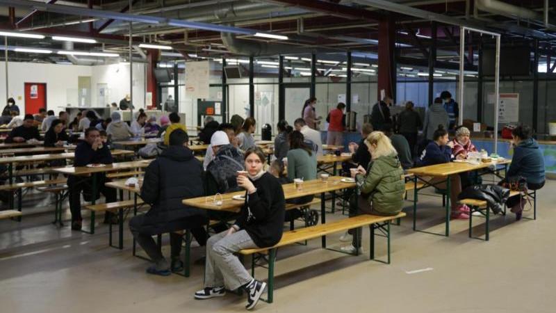 Порядка 60% украинских беженцев планируют остаться в Германии надолго