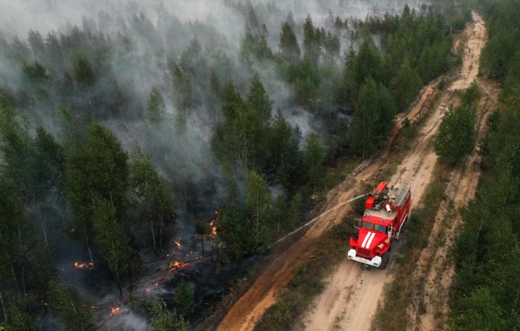 Площадь лесных пожаров в Забайкалье составила более 300 тыс. га