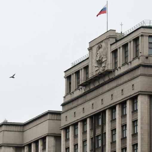 В Госдуме готовят законопроект, вводящий список разрешенных детских имен