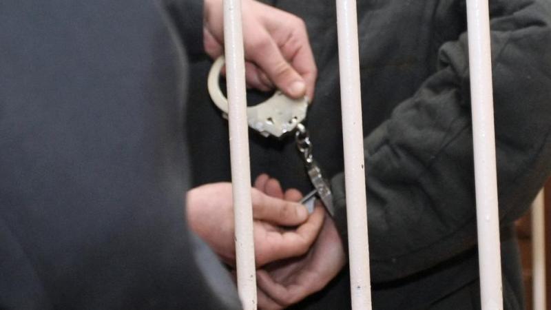 В Барнауле выкинувшего собаку из окна мужчину приговорили к лишению свободы
