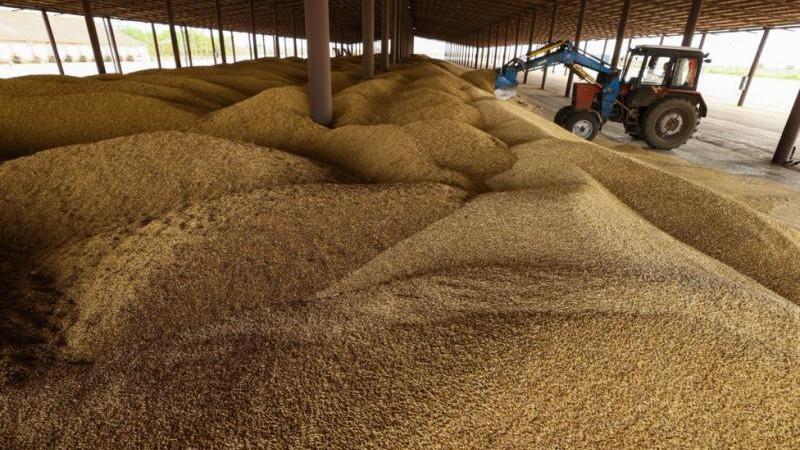 В СВР сравнили планы Армении отказаться от российского зерна с "поцелуем Иуды"