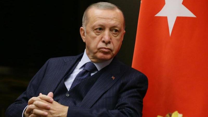 Президент Турции подтвердил обнаружение "черного ящика" разбившегося в Грузии самолета