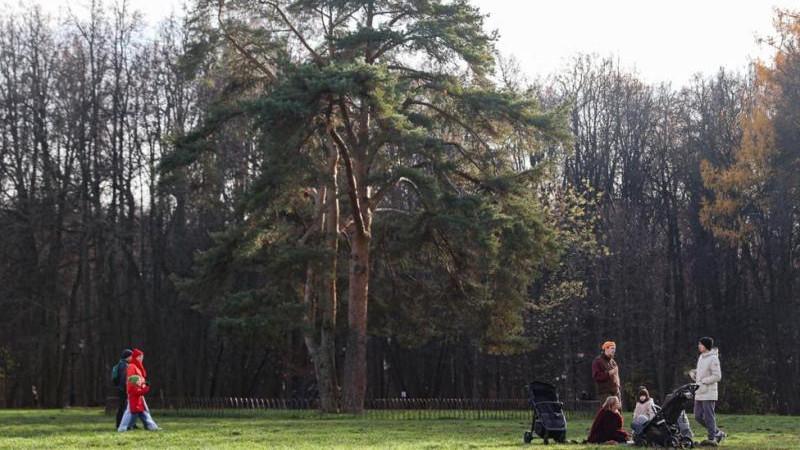 ЛДПР инициировала сокращение рабочей недели для одного из многодетных родителей