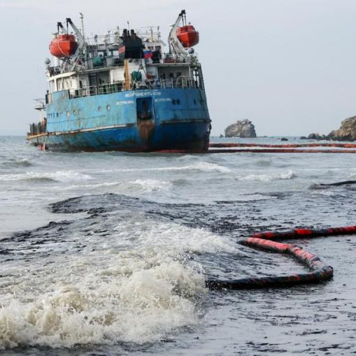 В Черном море удалось собрать основную...