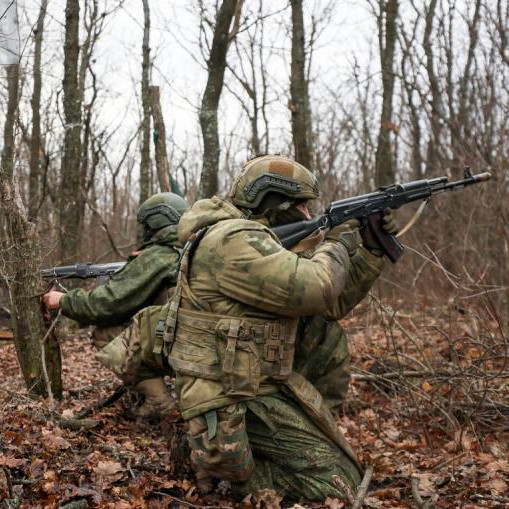 Российские ВС освободили Песчаное в ДНР