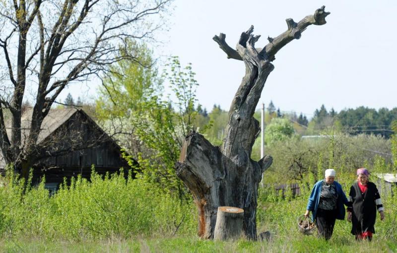 Порядок сделок с участками в России изменится с 1 марта