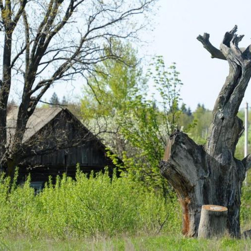 Порядок сделок с участками в России...