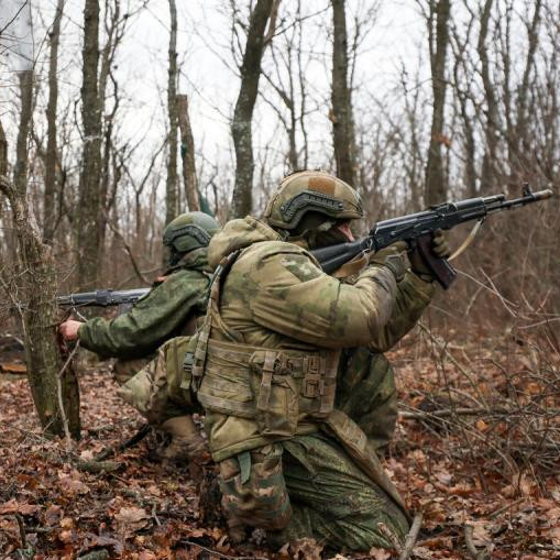 Российские ВС освободили Терны и Нескучное в ДНР