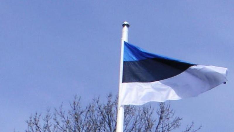 ERR: в Эстонии намерены соорудить противотанковый ров у границы с РФ