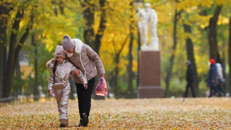 Музаев призвал родителей не пугать детей работой дворника