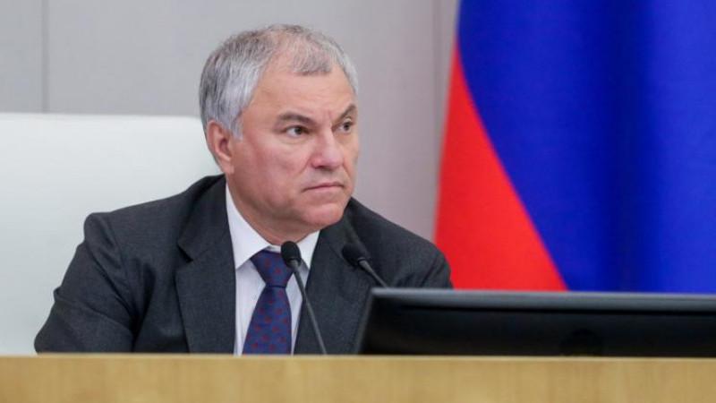 Володин: в России работает система противодействия нелегальной миграции