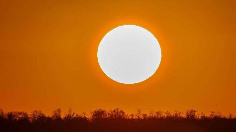 Огромный протуберанец при отрыве от Солнца превысил диаметр Земли в 80 раз