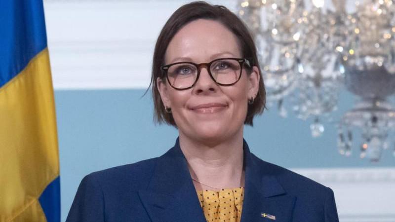 Глава МИД Швеции хотела бы ввести "100 пакетов" антироссийских санкций