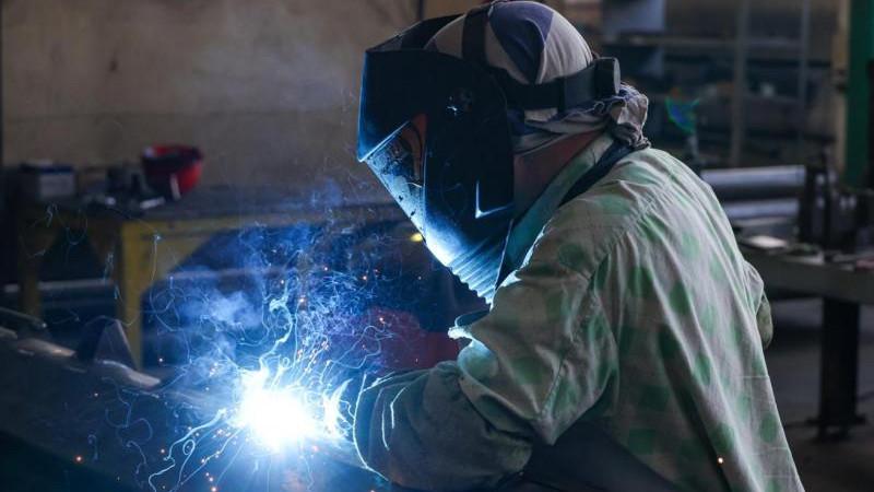 ЛДПР предложила ввести в России звание ветерана трудовой деятельности