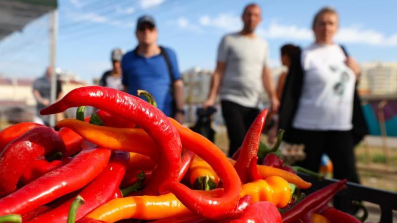 Создан искусственный язык для измерения остроты пищи