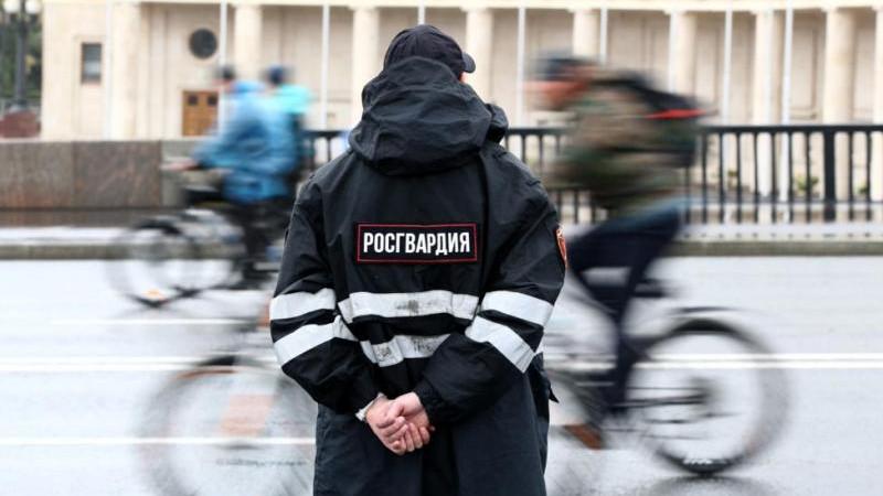 В Росгвардии назвали самые частые преступления в период новогодних праздников