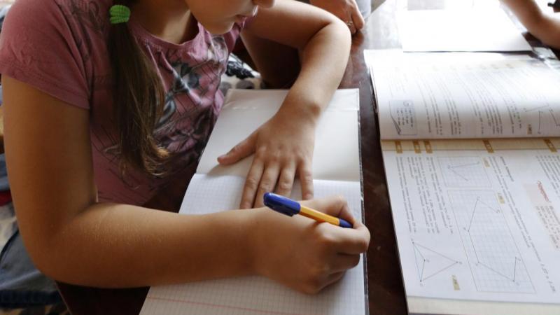 В Госдуме призвали не задавать детям домашние задания в предновогодние дни