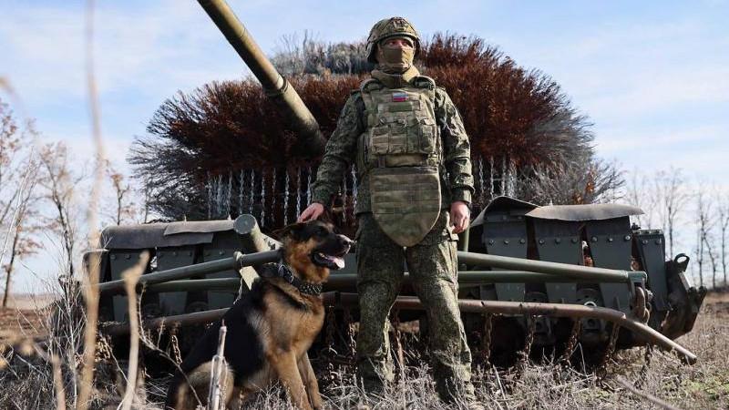 Российские средства ПВО нейтрализовали за сутки 263 беспилотника ВСУ