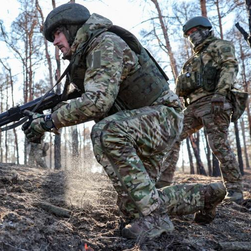 Российские ВС освободили Новоелизаветовку в ДНР