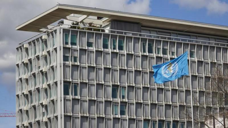 ВОЗ: в мире с начала года подтверждено более 34 тыс. случаев оспы обезьян