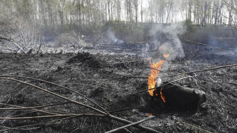 В Иркутской области площадь пожаров за неделю увеличилась в пять раз