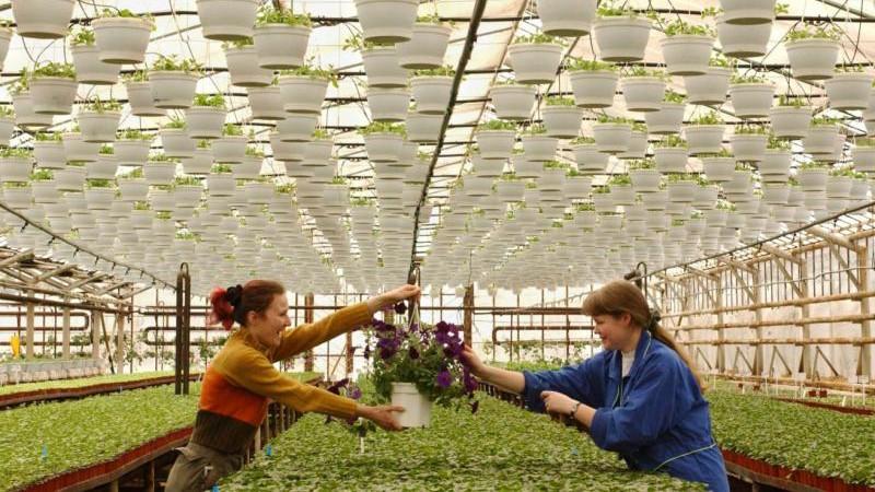 Утвержден национальный проект "Технологическое обеспечение биоэкономики"