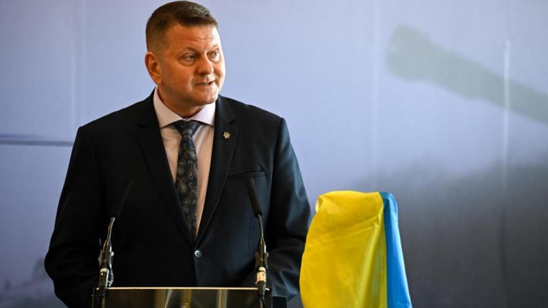 Залужный заявил Зеленскому о планах участвовать в выборах президента Украины