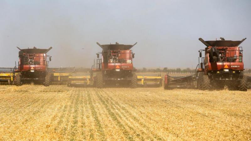 На Ставрополье в 2025 году собран рекордный урожай зерновых