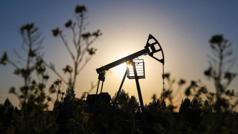 The Times of India: импорт российской нефти в Индию в июле стал рекордным с 2022 года