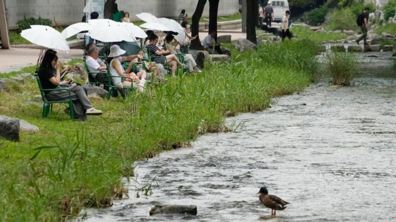 В Республике Корея зафиксировали рекордную за 122 года температуру воздуха