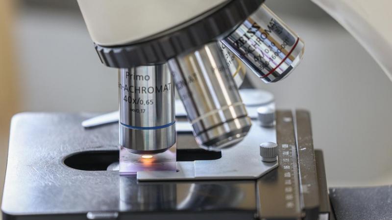 Военный эксперт Кнутов: России все же придется освобождать Донбасс военным путем