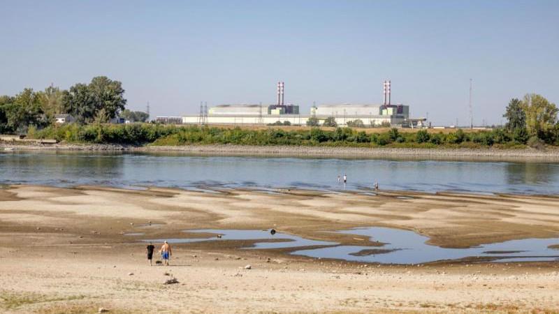 Euractiv: обмеление Рейна и Дуная несет угрозу экономике ЕС