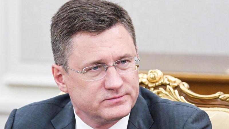 Новак заявил о снабжении топливом большинства независимых АЗС в России