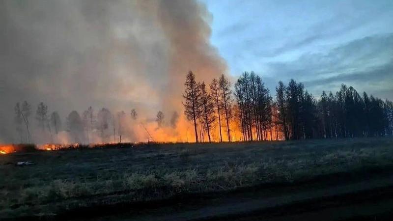 Площадь лесных пожаров в Красноярском крае за сутки увеличилась на 26 тыс. га