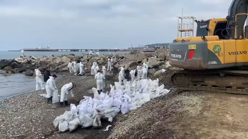 С прибрежной территории Туапсе убрали 19 тыс. куб. м замазученного грунта