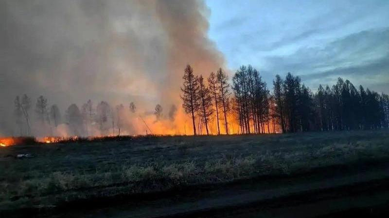 В Туве за сутки площадь пожаров увеличилась почти на 400 га