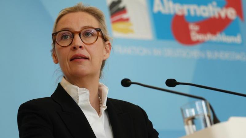 Лидер АдГ считает Мерца "тяжелым бременем для развития" Германии