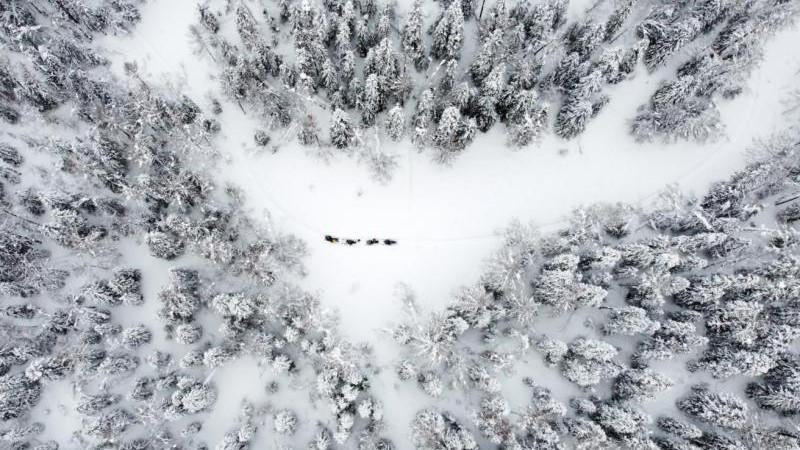 Лукашенко с сыном приняли участие в расчистке снега