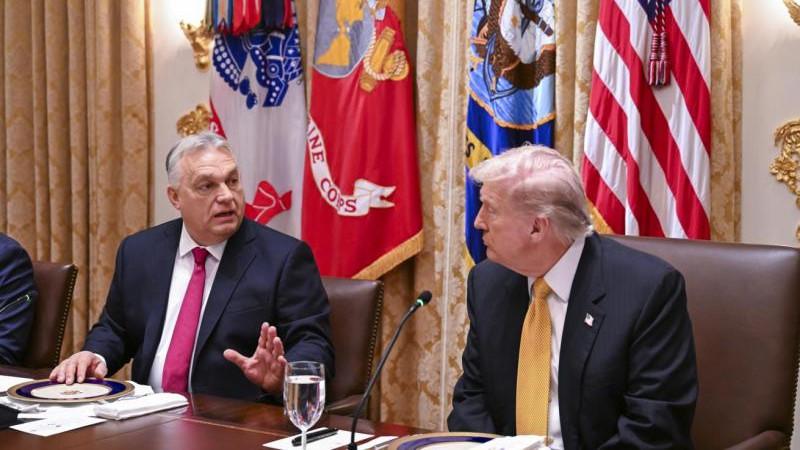 Трамп пожелал Орбану победы на выборах в парламент Венгрии