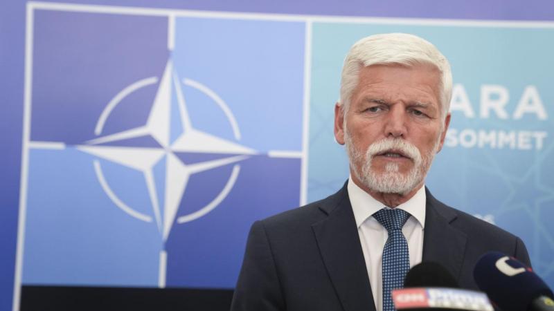 Президент Чехии призвал начать переговоры с Россией в течение двух месяцев