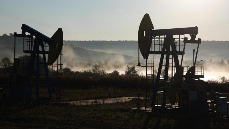 Стоимость нефти Brent впервые с 24 июля поднялась выше $101