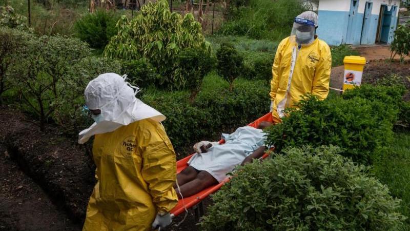 В ДР Конго за сутки из-за лихорадки Эбола умерли 25 человек