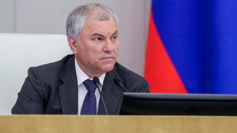 Володин отметил, что дропперство исчезает как вид преступления