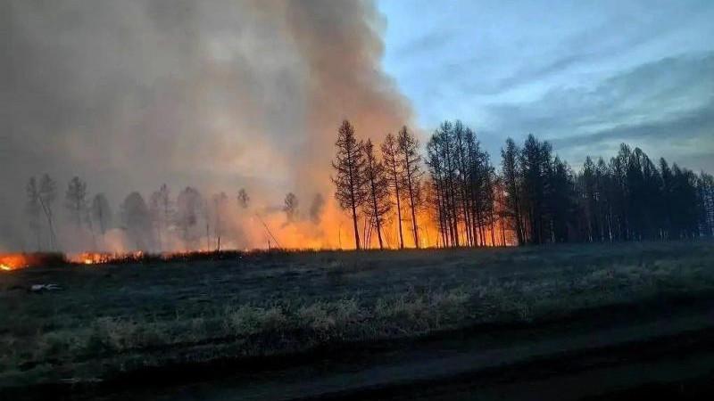 Площадь лесных пожаров в Туве составляет 2,1 га