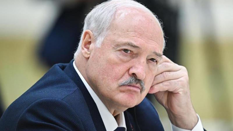 Лукашенко выразил удивление из-за нежелания Польши покупать дрова в Белоруссии