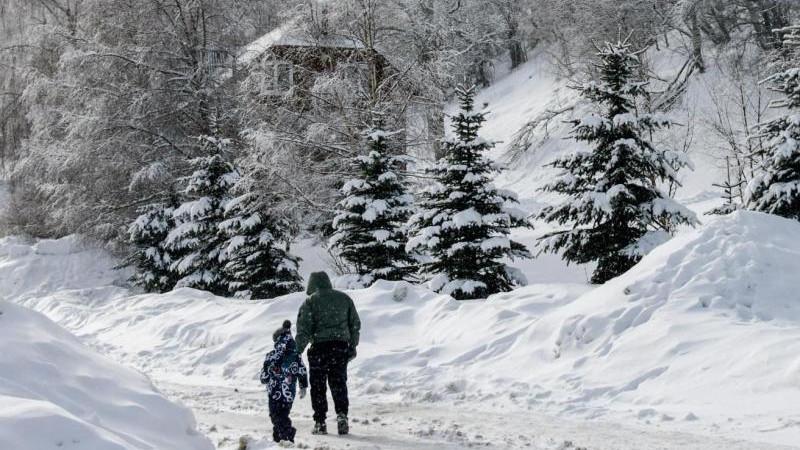 ВЦИОМ: 66% жителей России считают отцовство трудной работой